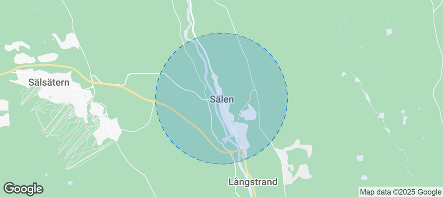 Discover Sälen Airbnb Analytics